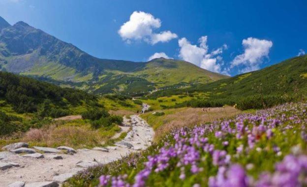 House Hanka, High Tatras Stará Lesná 외부 사진